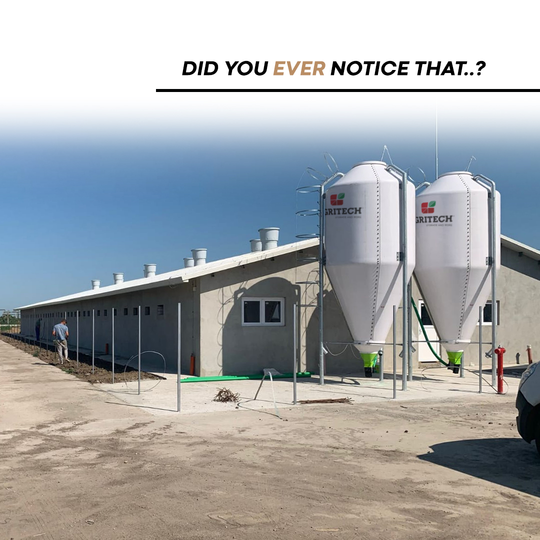 🐔🥚 Did you know how much a laying hen eats every day?
On average, a laying hen consumes about
👉 110–130 grams of feed per day
Seems small, right? 👀
But that tiny daily amount makes a huge difference.
Because in poultry farming:
📊 precision = performance
Even minimal variations in feed availability or quality can impact:
🥚 egg production
📈 laying consistency
⚖️ feed efficiency
Hens need regular, constant access to fresh feed —
not too much, not too little, not irregular.
That’s why feeding systems matter more than we think.
🌾 Proper storage helps ensure:
✔️ continuous feed availability
✔️ consistent quality
✔️ smoother daily management
Because better input → better output.
❓Are your hens getting the same quality feed… every single day?
#Agritech #PoultryFarming #EggProduction #FeedManagement
#Poultry #PoultryEquipment 🐔🥚🌱