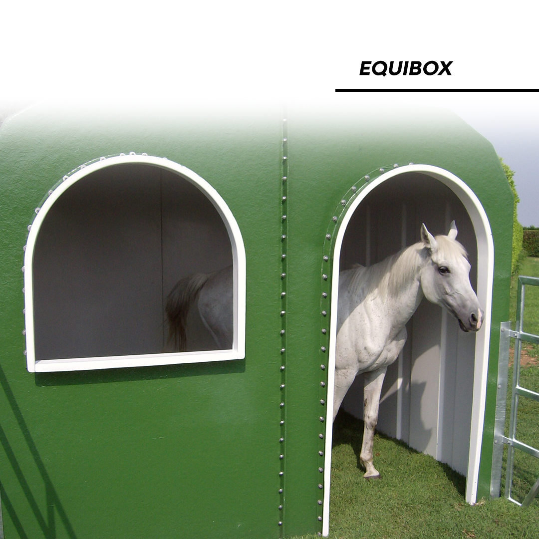 🐎🏠 EQUIBOX – Comfort and protection for horses
Looking for a practical and durable housing solution for horses? 👀
EQUIBOX is designed to provide a safe, comfortable and well-ventilated environment for equines, in all seasons. 🌱
Why it works:
🌡️ Thermal insulation → cool in summer, protected in winter
🌬️ Natural ventilation → thanks to door and window design
💪 Reinforced fiberglass structure → strong and long-lasting
🟢 Gelcoat finish for extra protection and durability
🔧 Modular design allows easy transport and installation
🚛 Up to 12 units per full truck load
➕ Optional external fenced area with gate for added space and safety
Available in different configurations (Equibox 01 & 02) to fit various needs.
Because horses deserve the right environment too 🐎💚
❓Is your current setup ensuring comfort all year round?
#Agritech #Equibox #HorseHousing #Horses #AnimalWelfare #FarmSolutions 🐎🌿