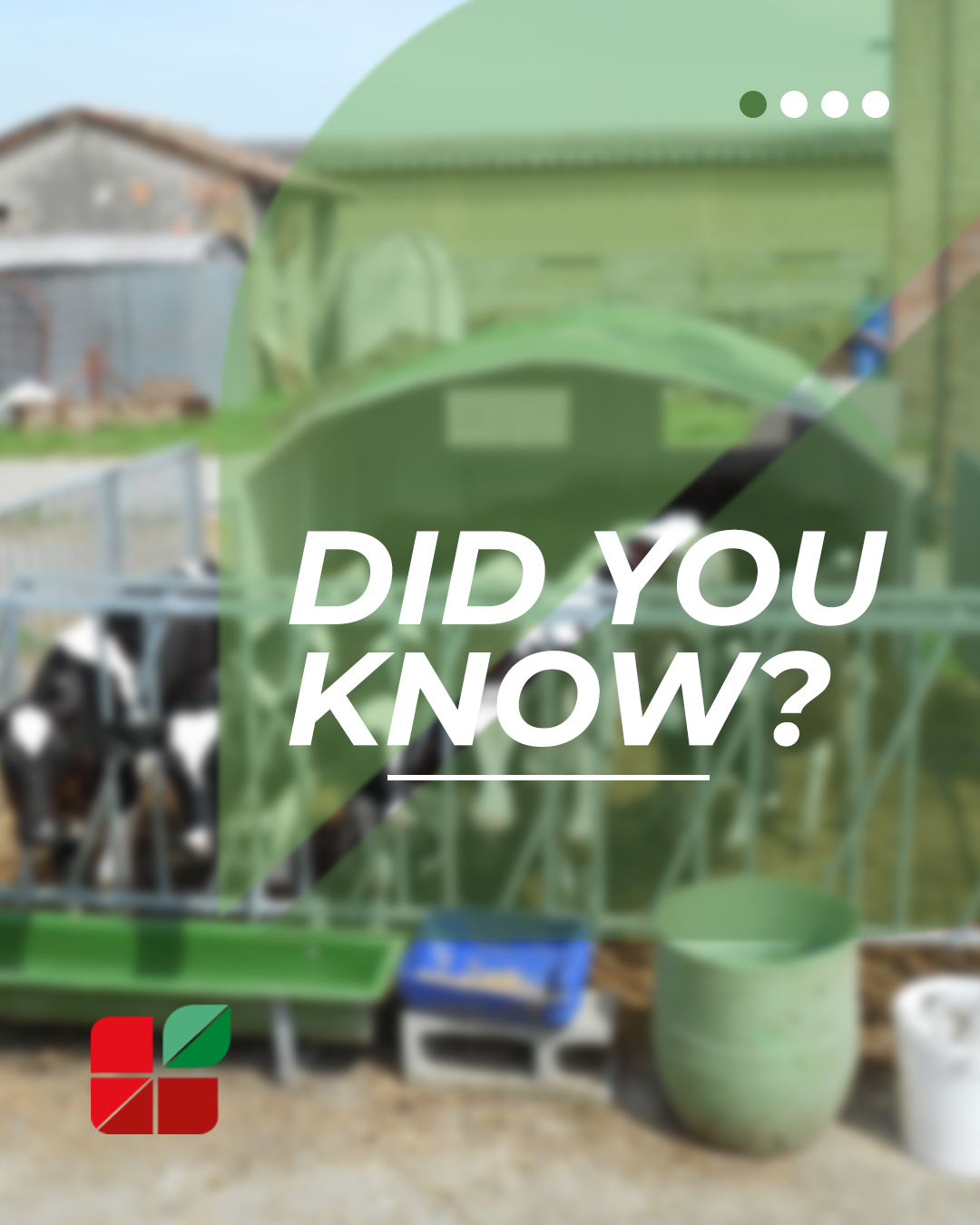 🐄🌾 Did you know? Feed can influence how much cows rest.
In modern dairy farming, nutrition is not only about productivity — it's also closely linked to animal welfare 💚
A well-balanced ration can support better digestive comfort, encouraging cows to spend more time:
🔄 ruminating
😌 resting
🛌 lying down comfortably
These behaviours are important indicators of wellbeing and can contribute to healthier, more efficient animals.
Proper feed storage also plays a key role in maintaining feed quality, which is why many farms rely on fiberglass silos for optimal protection and durability 🌾
Because good farming starts with attention to every detail — beginning with what goes into the feed bunk 🌱🐄
#Agritech #DairyFarming #AnimalWelfare #FeedManagement #CowFacts #Silos 🌾🥛