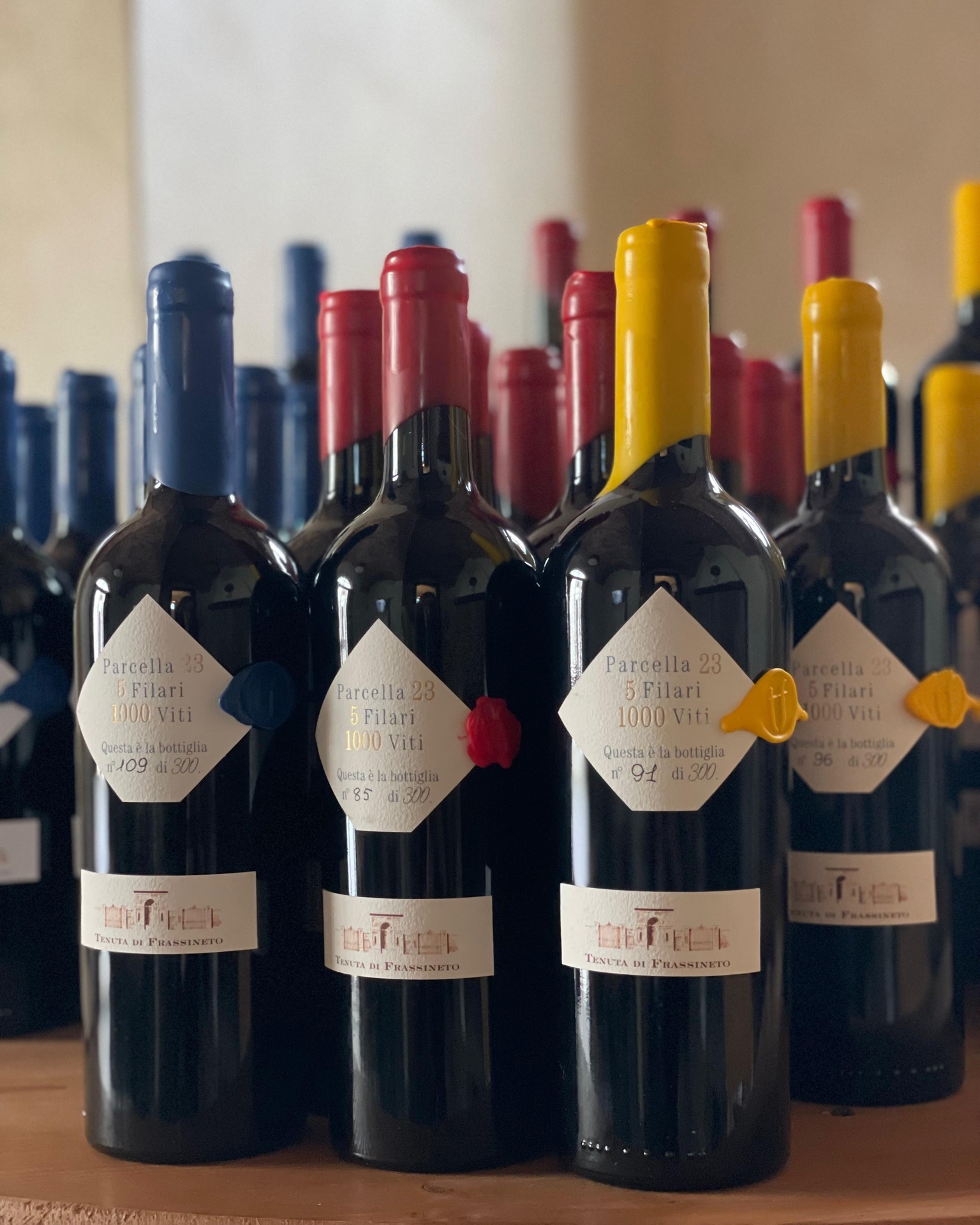 🍷 Parcella 23 è di nuovo disponibile, in quantità limitata, presso il nostro Punto Vendita
Ci sono vini che raccontano un'intera vendemmia e altri che racchiudono l'essenza di una piccola porzione di vigneto. Parcella 23 appartiene a questa seconda categoria.
Nasce da appena cinque filari, dove ogni fase del lavoro viene seguita con estrema cura: dalla selezione delle uve in vigna ai diradamenti, fino alla raccolta manuale dei grappoli migliori. Un percorso che privilegia la qualità in ogni dettaglio.
Dopo la vinificazione, il vino riposa a lungo in barrique di rovere francese, affinando struttura, eleganza e complessità.
Nel calice si distingue per il suo intenso colore rosso rubino e per un bouquet ricco di ciliegia, amarena, frutti di bosco e delicate note speziate. Al palato è pieno, armonioso e persistente, con tannini vellutati e un finale che richiama la frutta rossa matura.
✨ Ogni bottiglia è numerata a mano e fa parte di una produzione esclusiva realizzata in pochissimi esemplari.
Vi aspettiamo nel nostro Punto Vendita per scoprire e portare a casa una delle poche bottiglie disponibili.
#TenutadiFrassineto #Parcella23