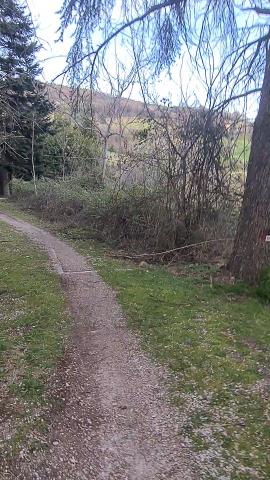 Sentiero 137 Monti delle Cesane, secondo tratto #pesarotrekking