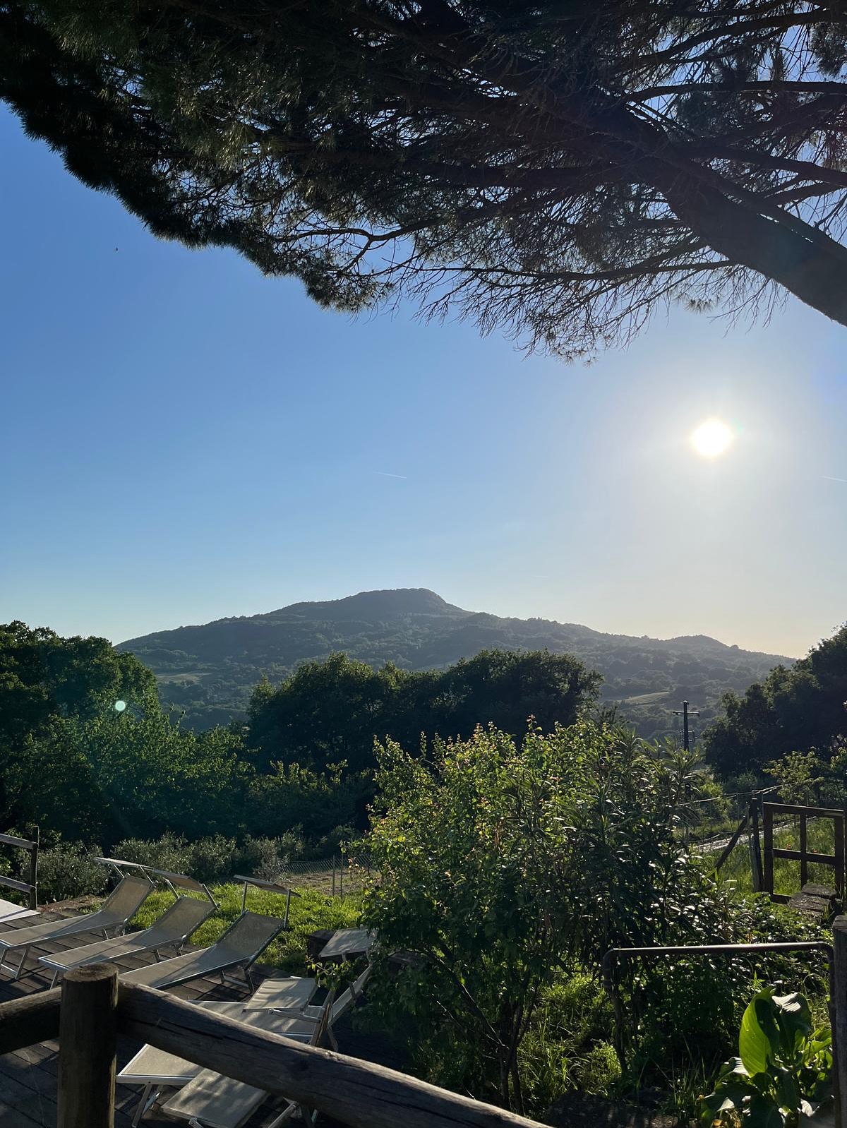 ‼️👀Last minute availability👀‼️
14/18 July
Room La5
info@poderecamaiano.it
♥️♥️♥️♥️♥️♥️♥️♥️
#poderecamaiano #camaianovibes #tuscany #sassofortino #roccastrada #hospitalityinMaremma #travelitaly #bedandbreakfastitaly #bedandbreakfast #liveauthentic #livethelittlethings #travel gram
#discovermaremma #toscanavacanza #igertoscana #tuscanygram
#maremmagram #maremmalocal