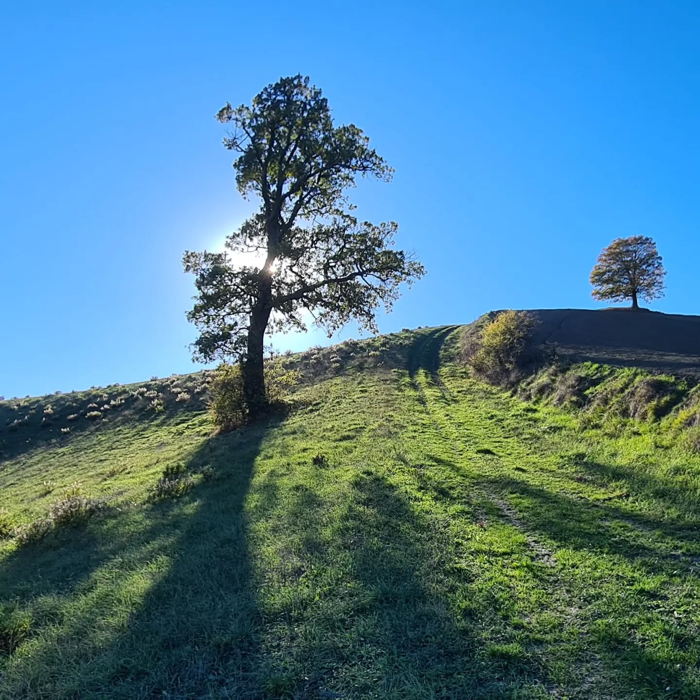 Sui sentieri di Valle Avellana