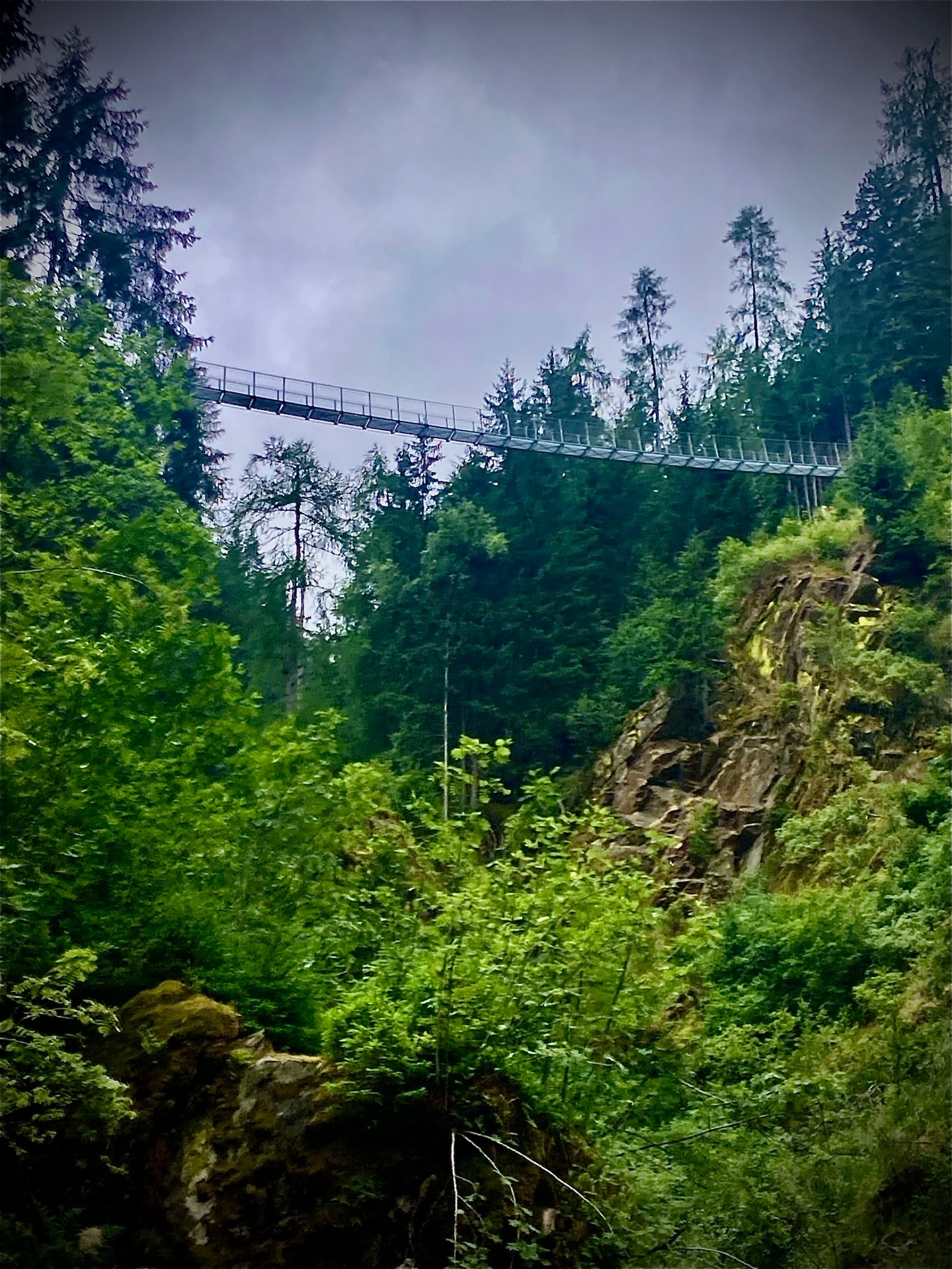 TREKKING IN VAL DI RABBI - 28 giugno / 4 luglio 2026
Hai mai camminato sospeso a decine di metri di altezza su un torrente impetuoso: potrai farlo durante la settimana di trekking in @valdirabbi
Il torrente Ragaiolo e il suo ponte sospeso ti aspettano, per questa ed altre mirabolanti avventure.
Info e prenotazioni su www.romagnatrekking.it
.
.
#trekking #escursione #escursioni #hiking #trentino