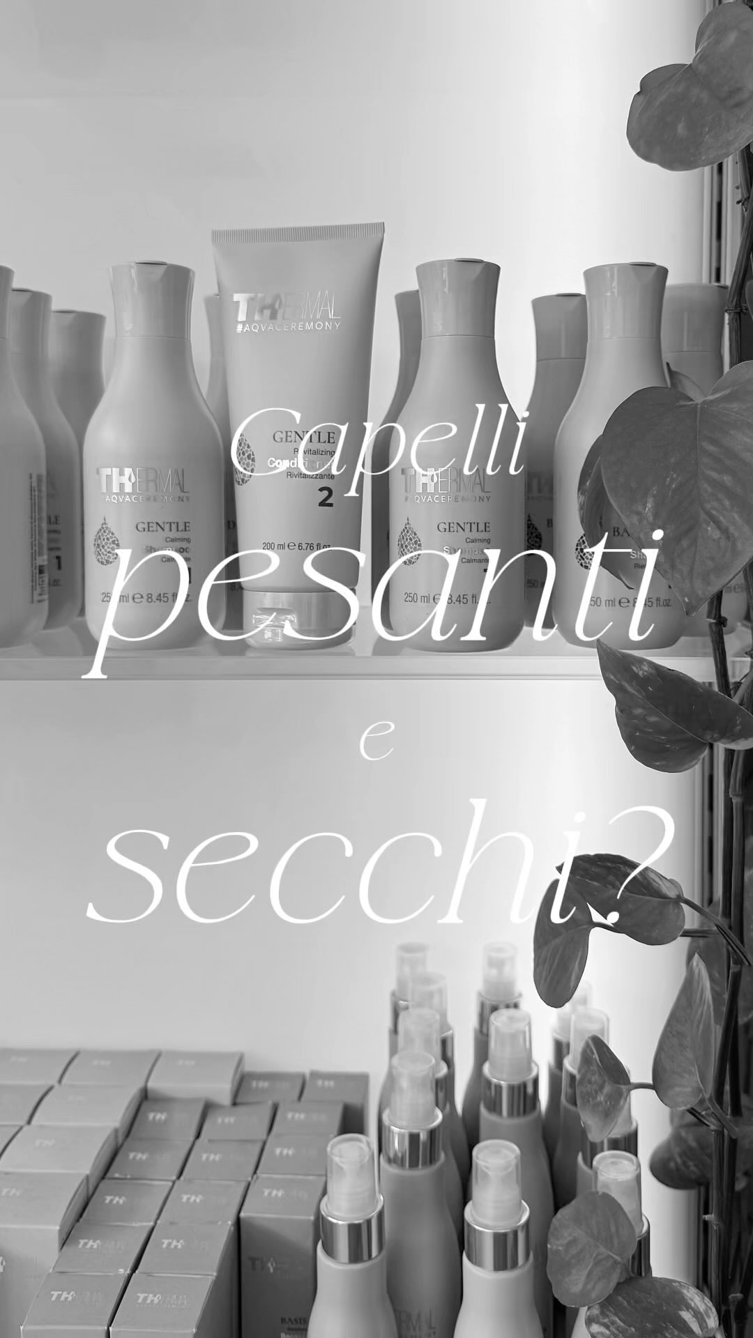 " HAIR TRUTH " by Lucia
Se hai i capelli pesanti e secchi, prenota subito il tuo appuntamento da noi!
#numero3hairstyle #hairstylist #consigli #information #cutegrassa
